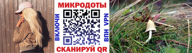 Псилоцибиновые грибы Psilocybe  дарнет шоп  Суджа 